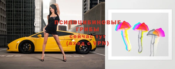 твердый Аркадак